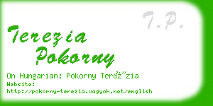 terezia pokorny business card